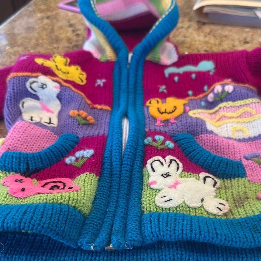 Peruvian Connection Multicolor Knit Children's Sweater